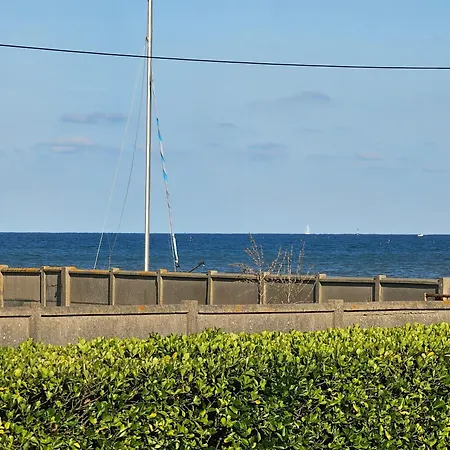 Grande Maison Normande, Vue A 75 Metres De La Plage, Equipe De Nage