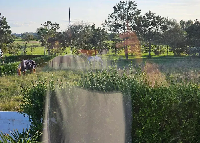 Grande Maison Normande, Vue A 75 Metres De La Plage, Equipe De Nage 別荘 Quinéville